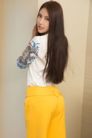 诗晴公车